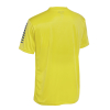 Футболка SELECT Pisa player shirt s/s Yellow-Blue